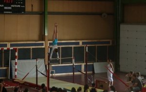 Gala169.jpg